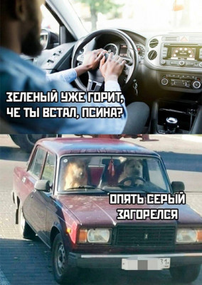 17285566538603.jpg