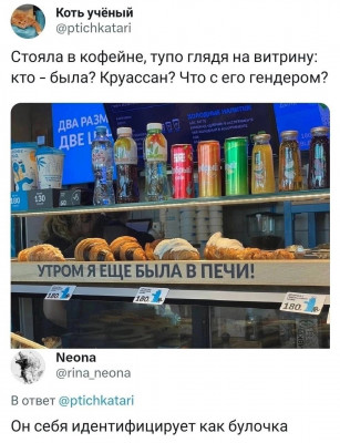 tz42ojiR6cw.jpg