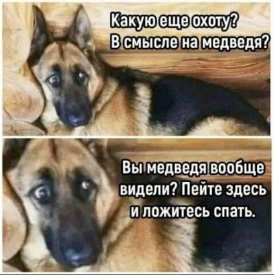 17294712869961.jpg