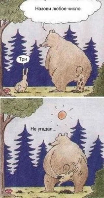 17331136937462.jpg