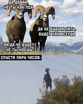 17329538801421.jpg
