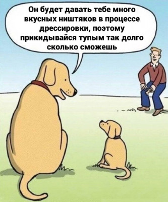17333657896383.jpg