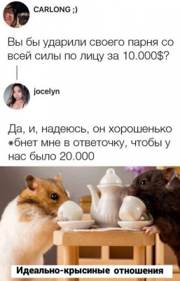 17334842688202.jpg