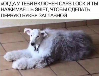 17348588797451.jpg