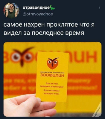 17348596428591.jpg