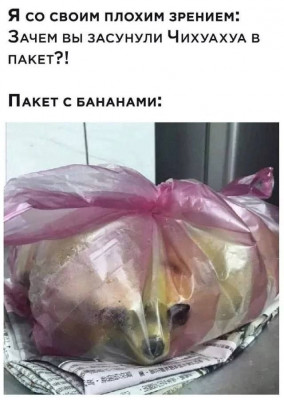 17351965442311.jpg