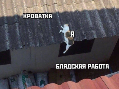 17334849645840.jpg