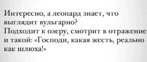 IMG_20250105_132753_(600_x_256_пиксель).jpg