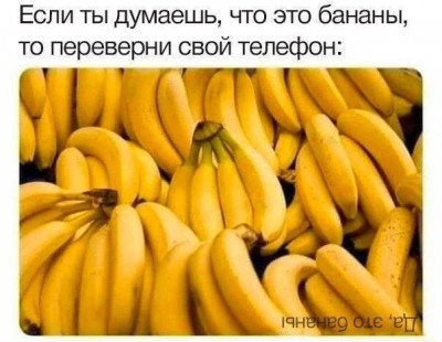 17363684533953.jpg