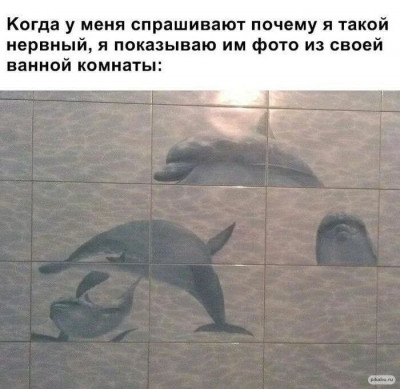 17364170209893.jpg