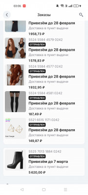 Screenshot_2025-02-24-03-06-43-26_3c841798971d89a92069939d312bec3c.jpg