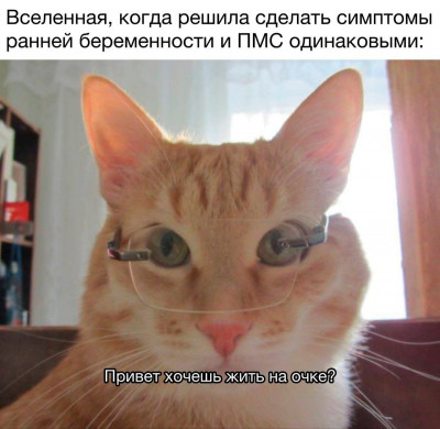 IMG_20250302_211919_899.jpg