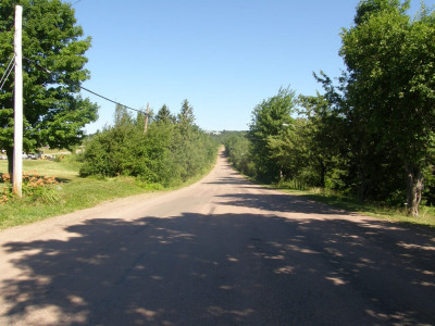 холмы.jpg