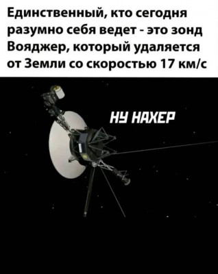 FB_IMG_1741465230373.jpg