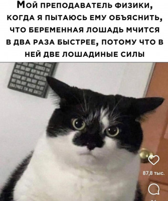 c8SxK2ua7S0.jpg