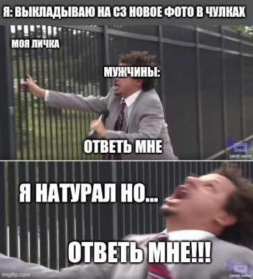 9nvu4f.jpg